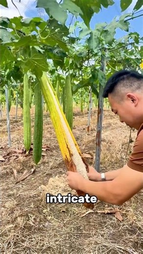 You've been showering with a VEGETABLE!