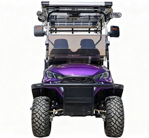 [Hot Item] Solar Panels Golf Cart Customization Factory Direct Saleupgrade Golf Buggy Electric Golf Cart