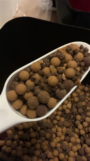 Stocking up my baits #carp #fishing #chub #winterfish