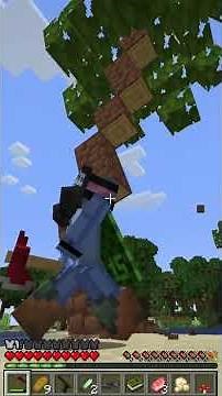 Cursed Minecraft Walking Simulators