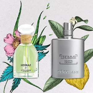 Tune in today to QVC at 11am, 1pm, 5pm and 7pm to get our exclusive 4-piece luxury fragrance collections for just £49.98! Have you got yours already? 🛍️ Shop now: http://bit.ly/2mRnIDN | L'OCCITANE en Provence