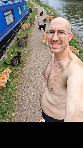 Cats on a narrowboat #canalboat #canal #narrowboat #boating #cats | Canal Boats