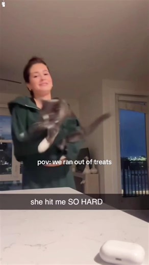 Hilarious Moments with Bad Cats