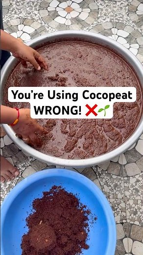 How to Use Cocopeat Correctly🌱 | 90% People Use It Wrong!| Cocopeat Tutorial #cocopeat #plantlover
