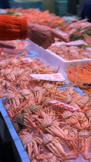毎年11月6日に解禁される金沢のカニ漁。石川ではズワイガニの雄を「加能ガニ」、雌のズワイガニ「香箱ガニ」と呼び、加能ガニは3月下旬、香箱カニは12月下旬とそれぞれ漁期が限られています。金沢のカニは港から漁場が近いため、鮮度が抜群。季節の味わいを楽しみに、ぜひ金沢へお越しください。 *映像は2024年11月9日に撮影された近江町市場での解禁の様子です。 加能ガニ漁期：11月6日～翌年3月20日 香箱ガニ漁期：11月6日～12月末 The crab fishing season in Kanazawa opens every year on November 6th. In Ishikawa Prefecture, male snow crabs are called “Kanou Crab,” while female snow crabs are known as “Koubako Crab.” The fishing season for Kanou Crab is limited to late March, and for Koubako Crab, late December.