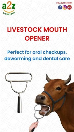Cow & Sheep Mouth Opener | #cattlefarming #cowcare #farmerschoice #livestock