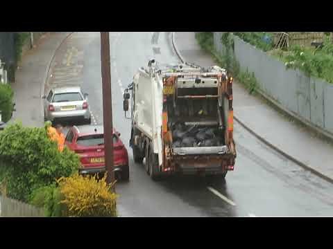 bin day collection