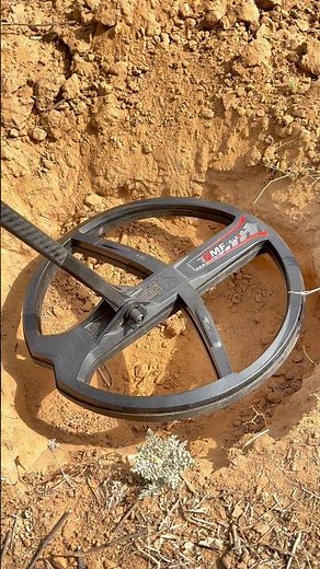 Understand searching treasure xp metal detector #metaldetecting #xpmetaldetectors #treasurehunt