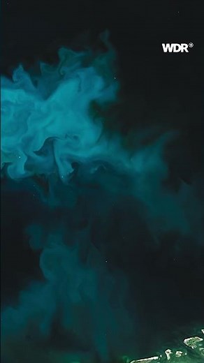 Deutschland aus dem All | Erlebnis Erde | WDR