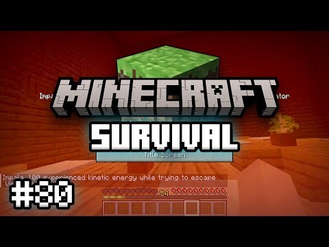 Past Death’s Doorstep: Attempting to Conquer a Woodland Mansion! | Minecraft Survival Ep. 80