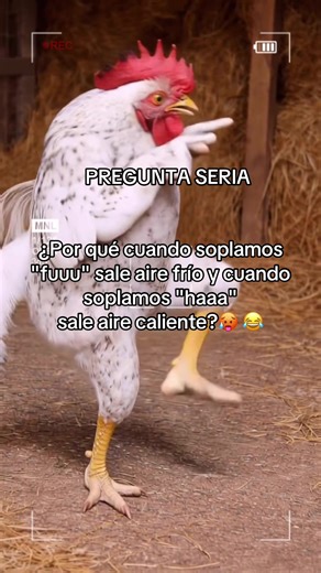 #paratiiiiiiiiiiiiiiiiiiiiiiiiiiiiiii #fyppppppppppppppppppppppp #viral #humor #tiktokvuralvideo