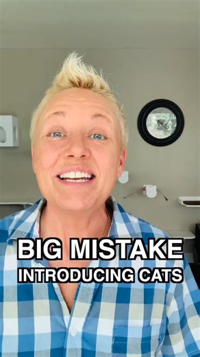 Two Crazy Cat Ladies on TikTok
