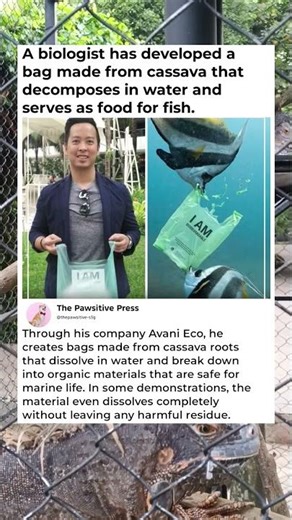 The Bag You Can Actually Eat! 🐟