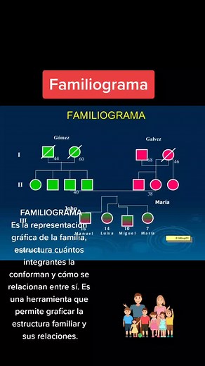 Familiograma Es la representación gráfica de la familia, contiene de manera estructurada, cuántos integrantes la conforman y cómo se relacionan entre sí. Es una herramienta que permite graficar la estructura familiar y sus relaciones. #estudiosocioeconomico #atravesdetrabajosocial #habilidadesprofesionales #trabajadorassociales #profesionalesdesalud #trabajosocialfamiliar #licenciaturaentrabajosocial #familiograma