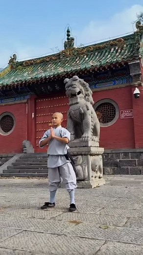 UNLEASH YOUR INNER BEAST! Shaolin Snake 🐍 style! Shaolin Kung Fu is great to develop your physical and mental self. Animal styles of Kung Fu allow you to take on the persona and fighting methods of the animal being represented. This is both challenging physically but also mentally. | Shaolin Kung Fu Guan