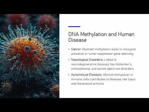 DNA Methylation Mechanism, Functions and Applications