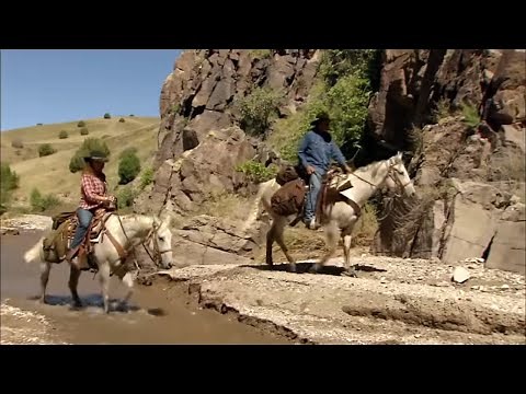 New Mexico: A Journey Through Desert and Mountain Splendor