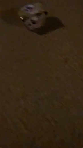 5.2K views · 171 reactions | Cracker Vs sky #usa #experiment #usareels #fireworks #crackers #fireworksdisplay #firecrackers #fireworkshow #fun #diwali | Fireworks Videos | Facebook