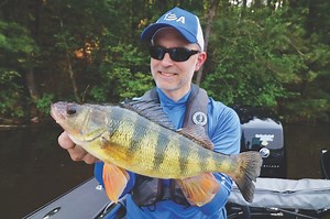 Panfish Paradise: Late-Summer Bluegills, Perch and Crappies - Game & Fish