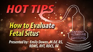 How to Evaluate Fetal Situs Make sure you check out our upcoming OB/Gyn Ultrasound: Point-of-Care or Comprehensive - Blended Course! February 21, 2025 in St. Petersburg FL. DM us for more Info | Gulfcoast Ultrasound Institute, Inc.
