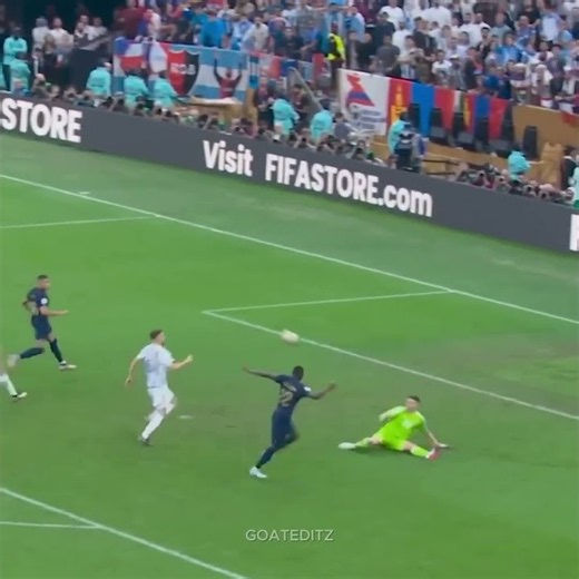 10/10 World Cup SAVES☠️🔥