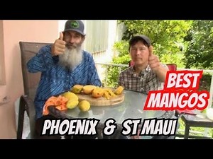 Garden Expert Tastes The Best Mango Varieties