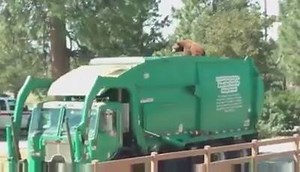 5M views · 82K shares | When the driver of a garbage truck found a...