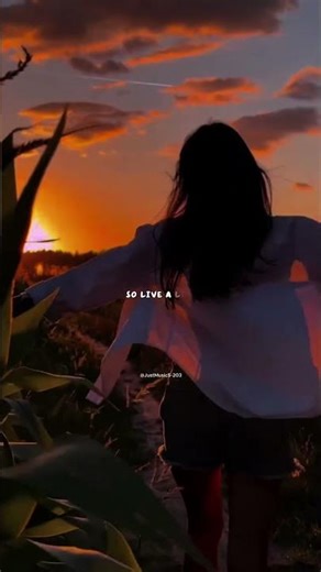 The Nights - Avicii | lyrics | aesthetic | whatsapp status | English songs | slowed | sped up | edit