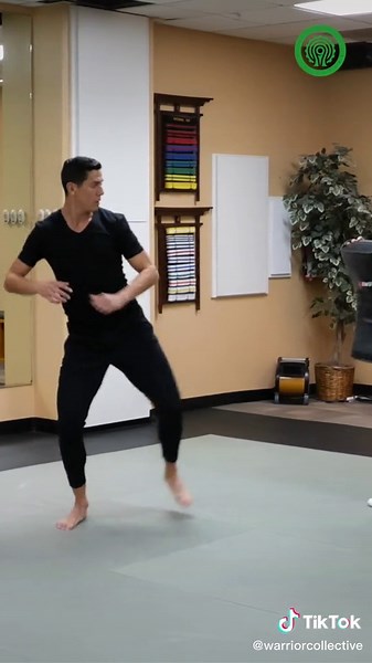 Taekwondo Brilliance with Steven Lopez: A Martial Arts Tutorial