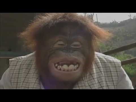 Very Silly Songs except it's widescreen and reversed