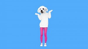 Gif Animation Design Funny Dog Dancing Stock Footage Video (100% Royalty-free) 1034979275 | Shutterstock