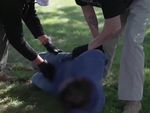 Experts weigh in on what federal agents can do during immigration sweeps