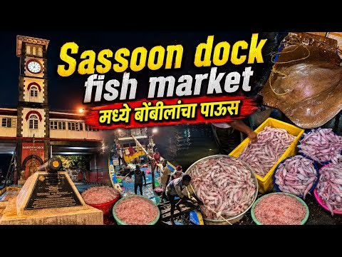 Mumbai’s Biggest Fish Market Tour 2026 | Sassoon Dock Fish Market | Fresh Seafood Prices