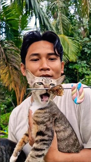 Food Asmr Cat #shorts #food #mukbang #cat