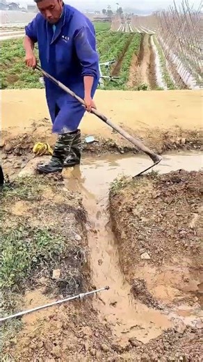 Furrow Irrigation for Field Crops