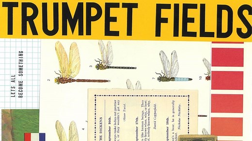 Spitfire releases free LABS Trumpet Fields virtual instrument