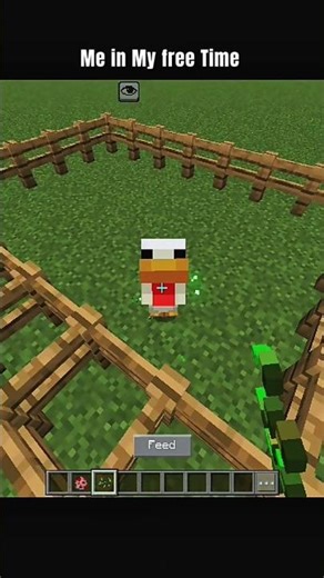 Me in my free time #minecraft #filtro #viral