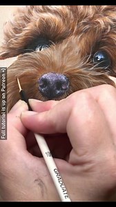 51K views · 1.1K reactions | When painting overlapping fur in...