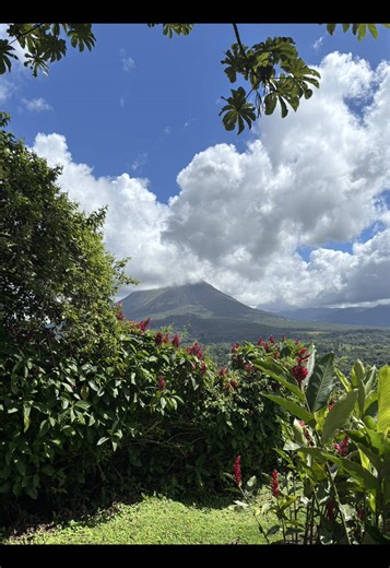 the wild things song 🥹