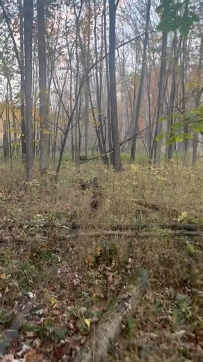 Last Chance Deer Tracking Service on Reels