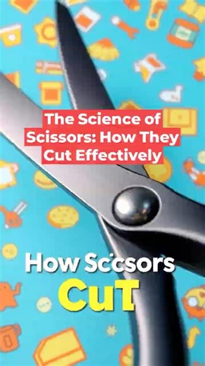 11-Why Scissors Actually Cut (The Physics) #Science #Education