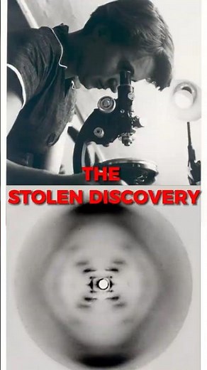 The Stolen Photo That Changed Biology Forever