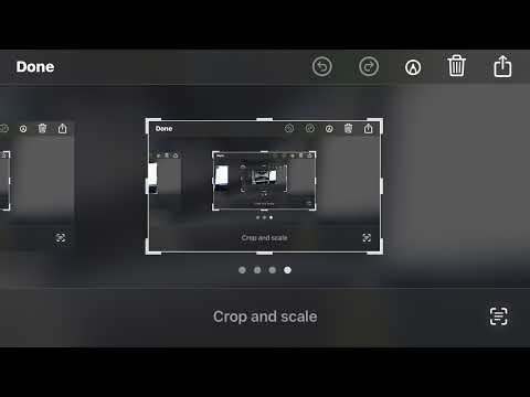 Guest269® Live Stream