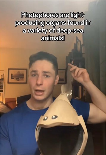 Gulper Eels: The Glowing Wonders of the Deep Sea