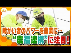 「農福連携」～地域農業と障がい者支援の希望の光～