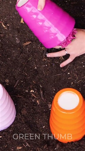 The secret to growing infinite roses and other flowers at home! 🌹🌵