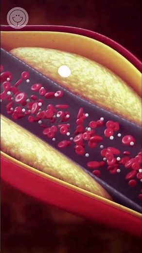 Descubre los Increíbles Beneficios de la Chía para tu Salud: El Superalimento que te Transformará