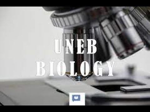 BIO 2 UNEB PAPER 2 2022 GUIDE section A