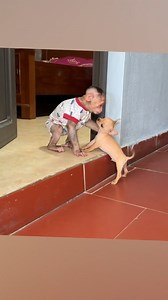 Baby monkey NANA saw the puppy was hungry so she took food to save him #shorts #smartmonkey #monkey | Slingshot ride