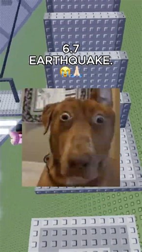 Pooping In Public😭🙏🏻 #roblox #rblx #robloxrant #relatable #viral